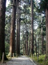 niwa092.jpg (14929 バイト)