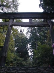 torii042.jpg (14260 バイト)