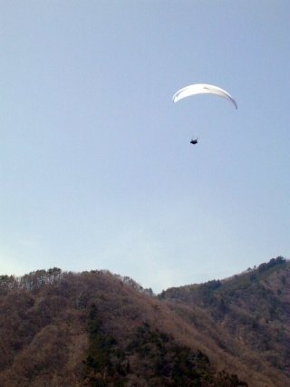 paraglider027m.jpg (15131 oCg)