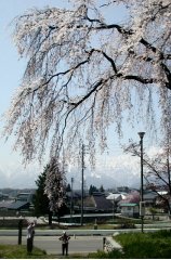 tetsunen143s.jpg (16705 バイト)