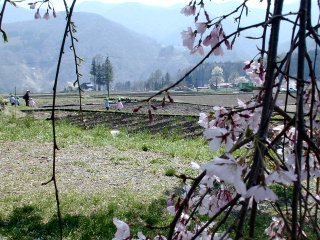 tetsunen149m.jpg (32308 バイト)