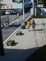 matsumoto046s.JPG (72835 バイト)