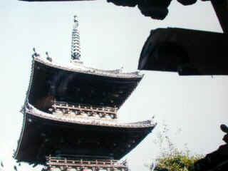 usuki027m.JPG (74229 バイト)