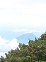 雲の切れ目に一瞬富士山が