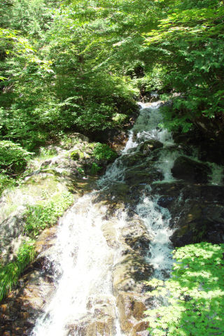 登竜門滝