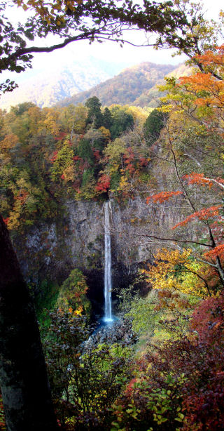 白水の滝　高さは約70メートル