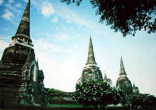 thai564m.JPG (33388 oCg)